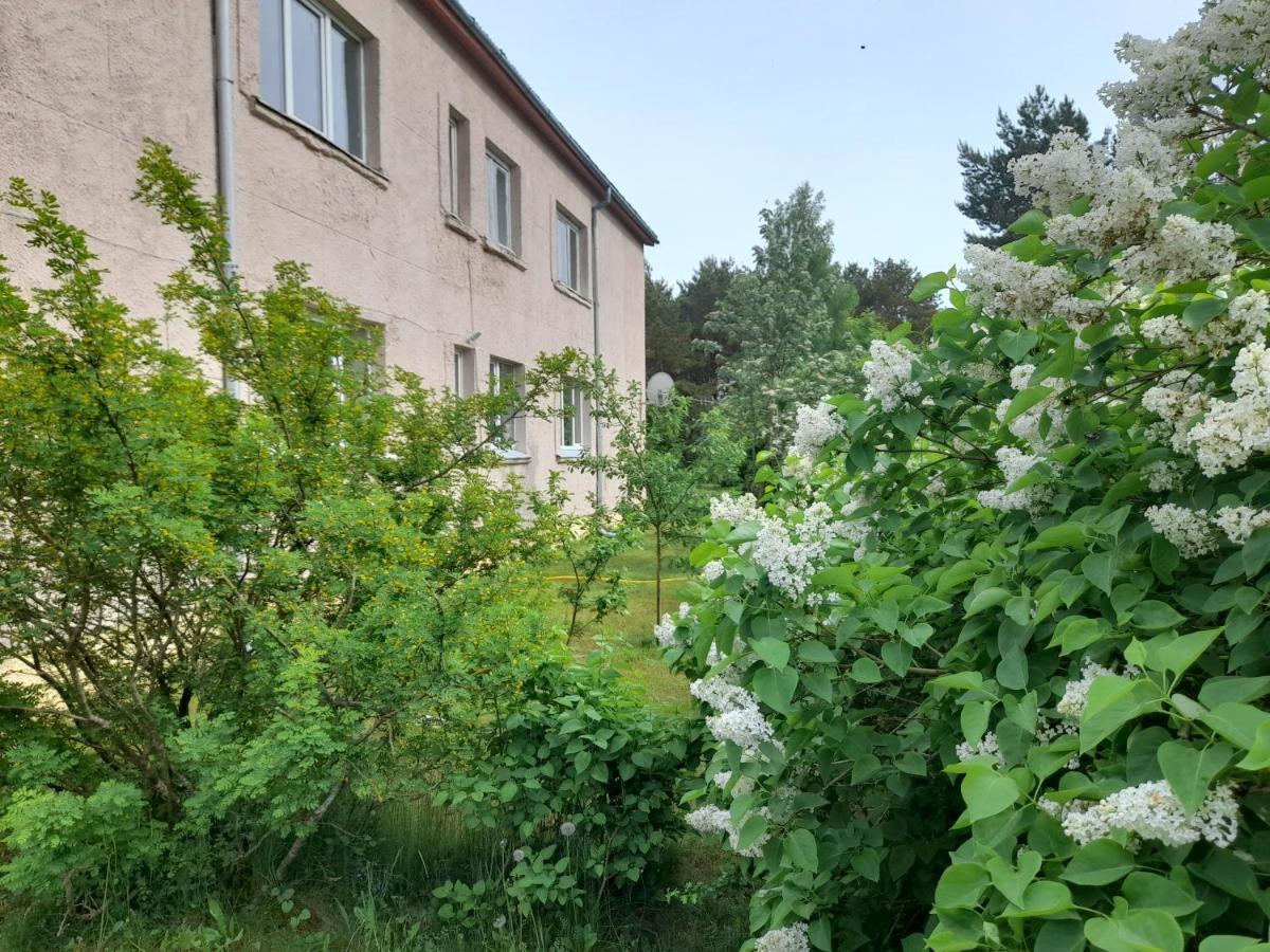 Quiet Summer Apartment Aucugals المظهر الخارجي الصورة